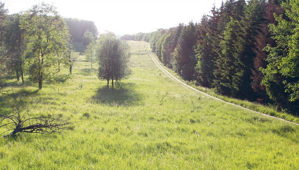 Todesstreifen mit Fahrspurplatten