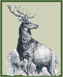 jagd