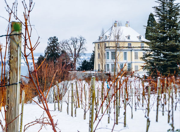 Schloss Arenenberg